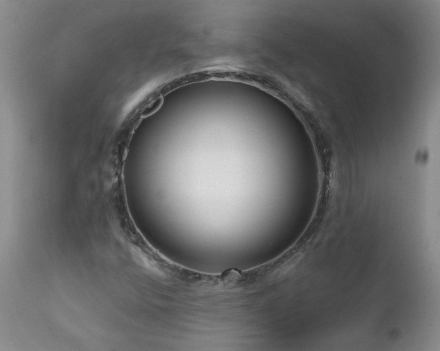 X0000111161400200906301350
