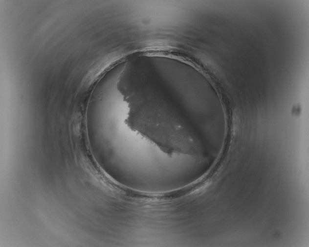 X0000111161401200906301350
