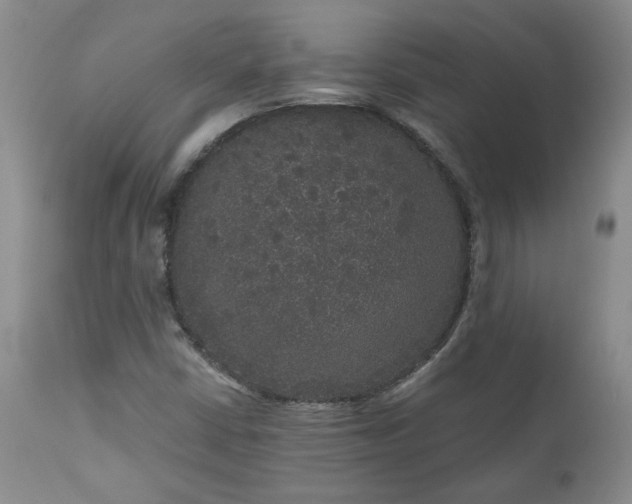 X0000111161402200906301350