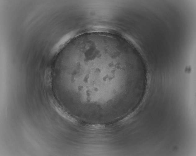 X0000111161403200906301350
