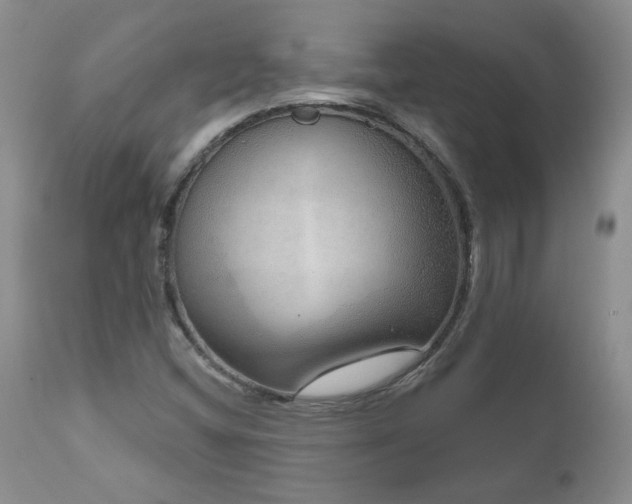 X0000111161404200906301350