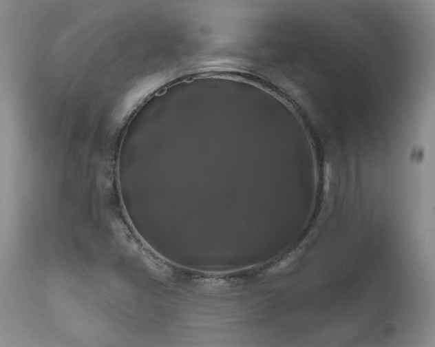 X0000111161405200906301350