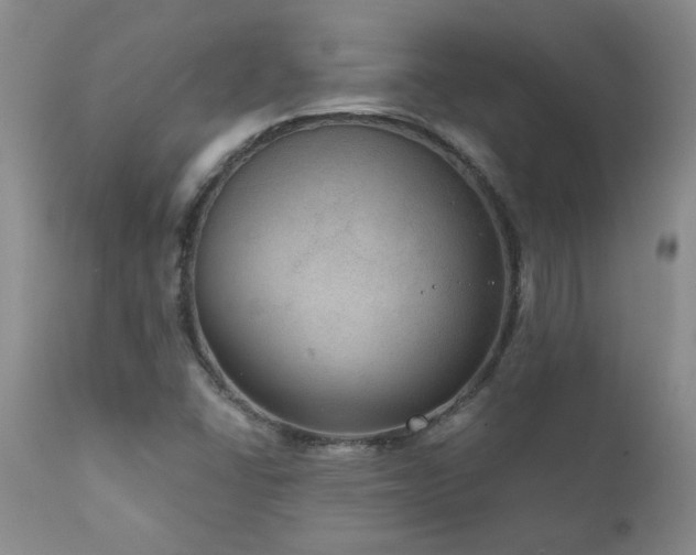 X0000111161406200906301350