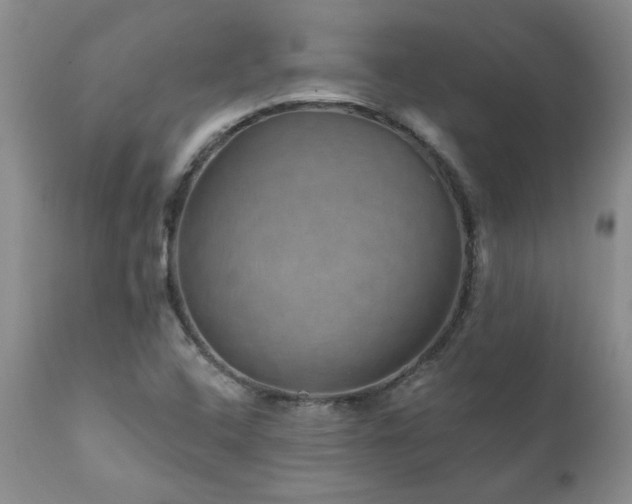 X0000111161408200906301350