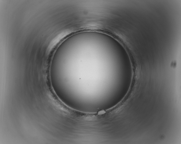 X0000111161410200906301350