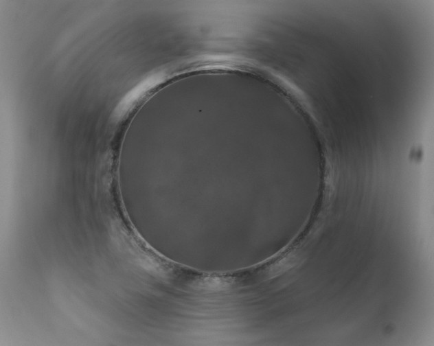 X0000111161411200906301350