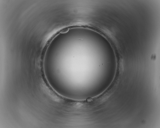 X0000111161412200906301350
