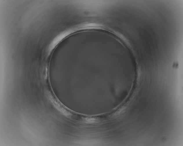 X0000111161413200906301350