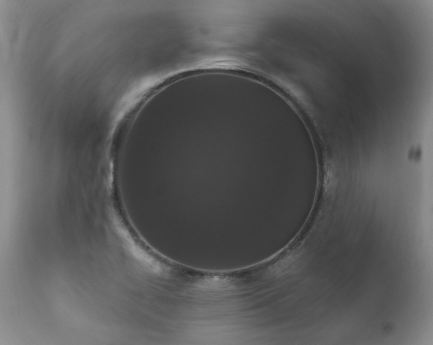 X0000111161414200906301350