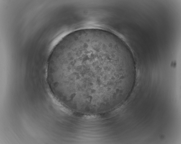 X0000111161415200906301350