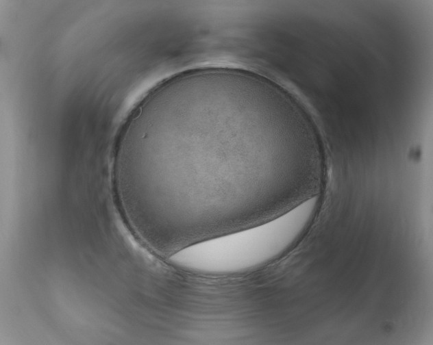 X0000111161416200906301350