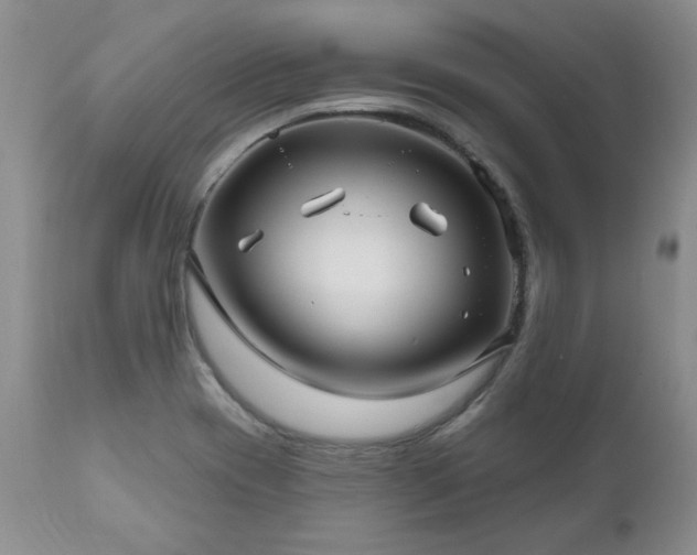 X0000111161417200906301350