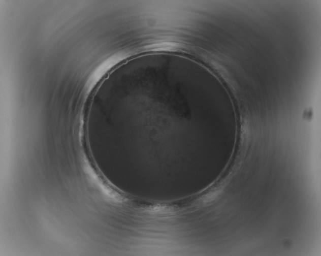 X0000111161418200906301350
