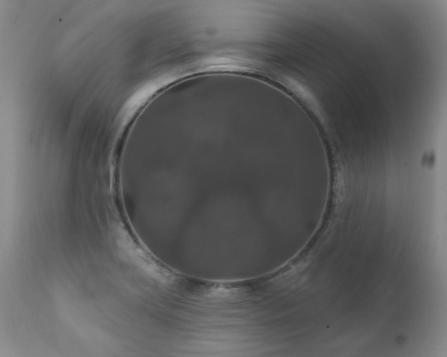 X0000111161419200906301350