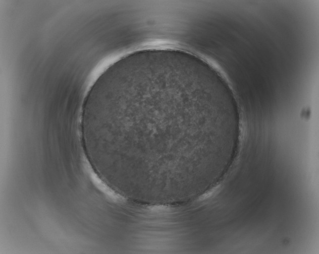 X0000111161421200906301350