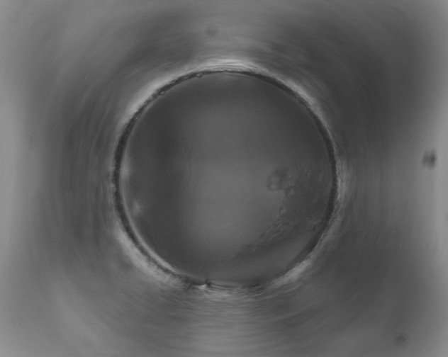 X0000111161422200906301350