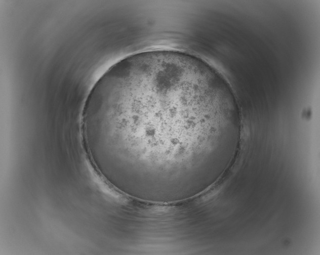 X0000111161423200906301350