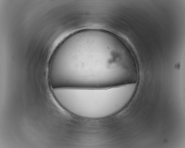 X0000111161424200906301350