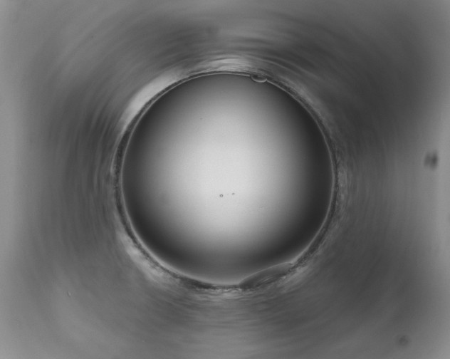 X0000111161426200906301350