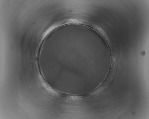 X0000111161427200906301350