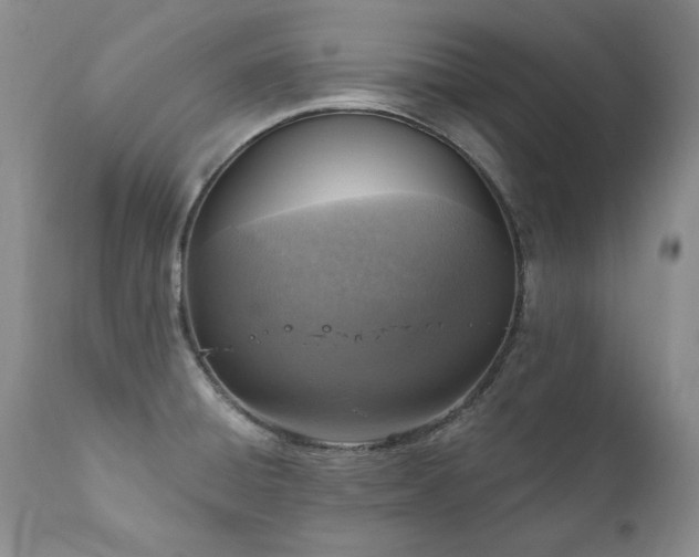 X0000111161428200906301350