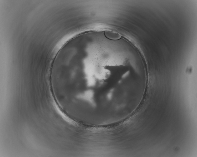 X0000111161429200906301350