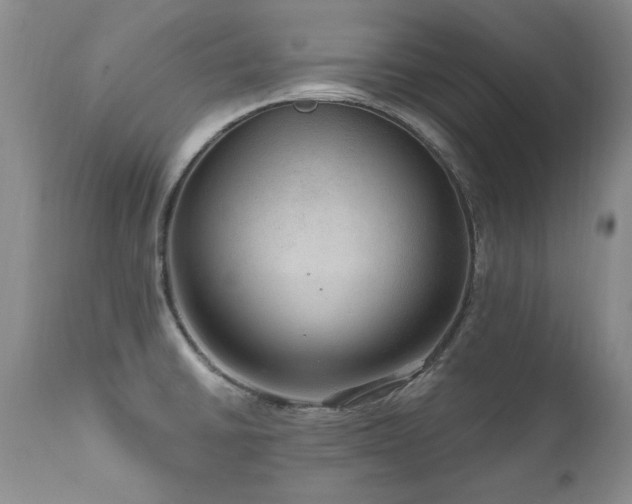 X0000111161430200906301350