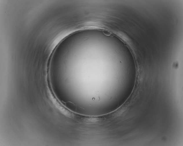 X0000111161431200906301350