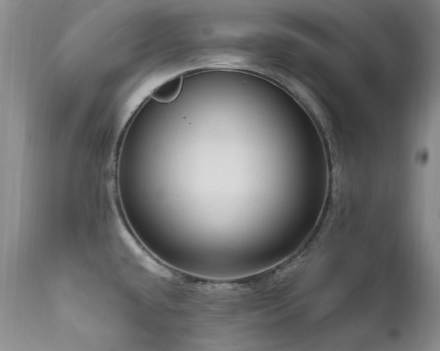 X0000111161432200906301350