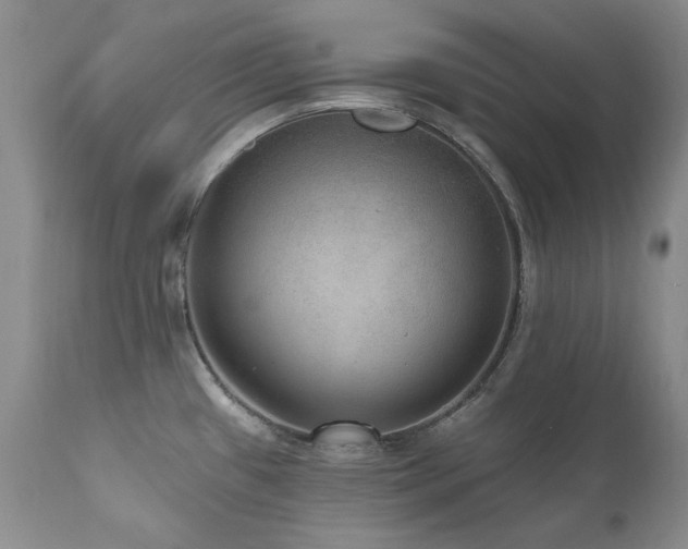 X0000111161433200906301350