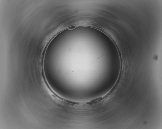 X0000111161434200906301350