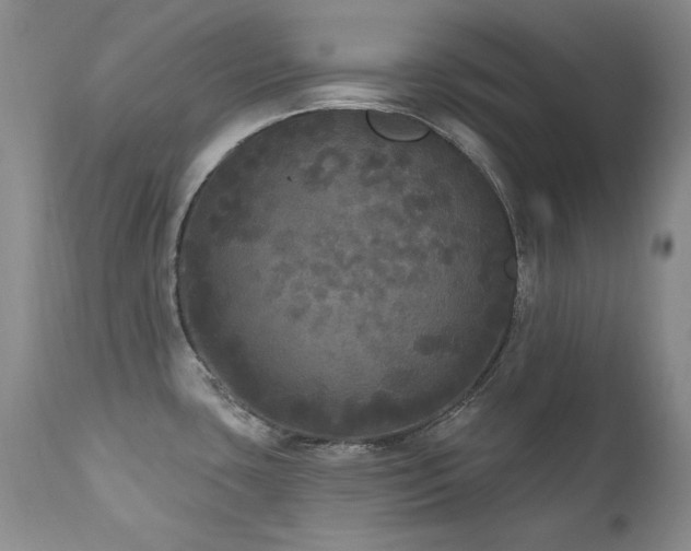 X0000111161435200906301350