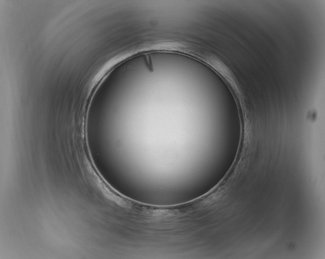 X0000111161436200906301350