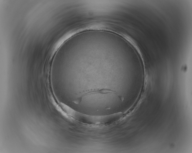 X0000111161437200906301350