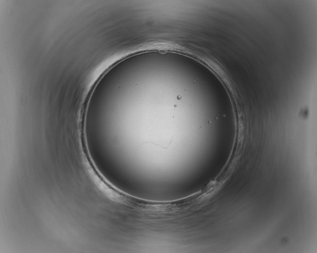 X0000111161438200906301350