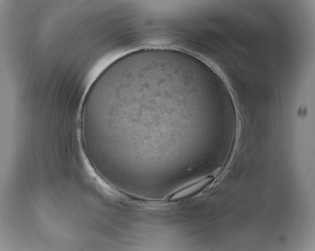 X0000111161440200906301350