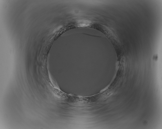 X0000111161441200906301349