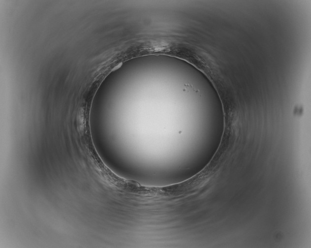 X0000111161442200906301349