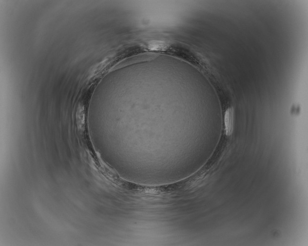 X0000111161443200906301349