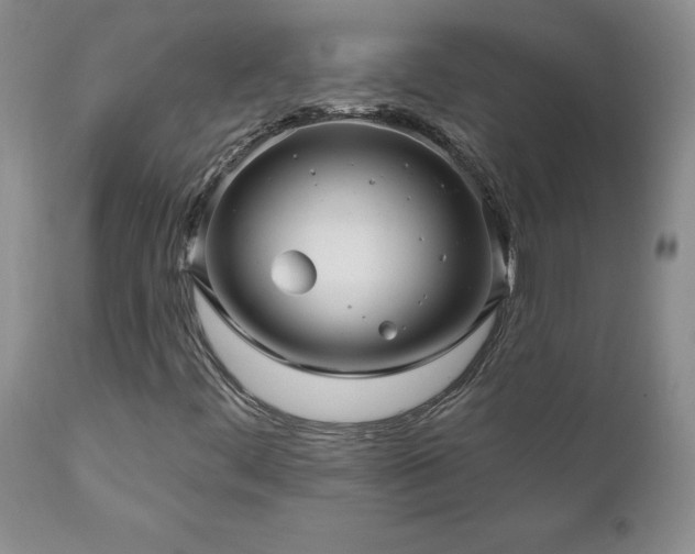 X0000111161444200906301349