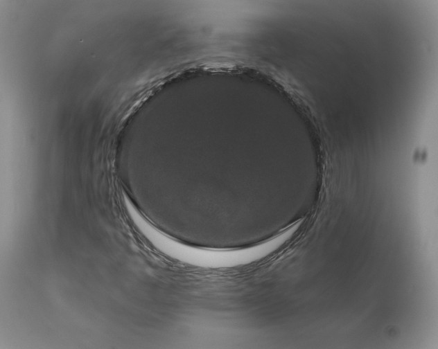 X0000111161445200906301349