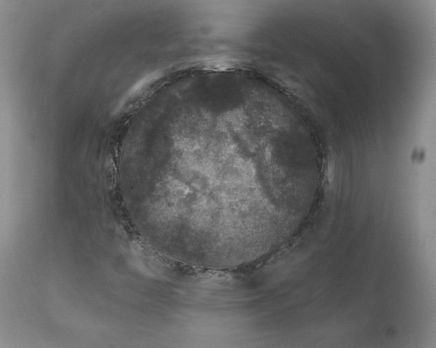 X0000111161446200906301349