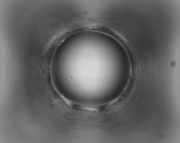 X0000111161447200906301349