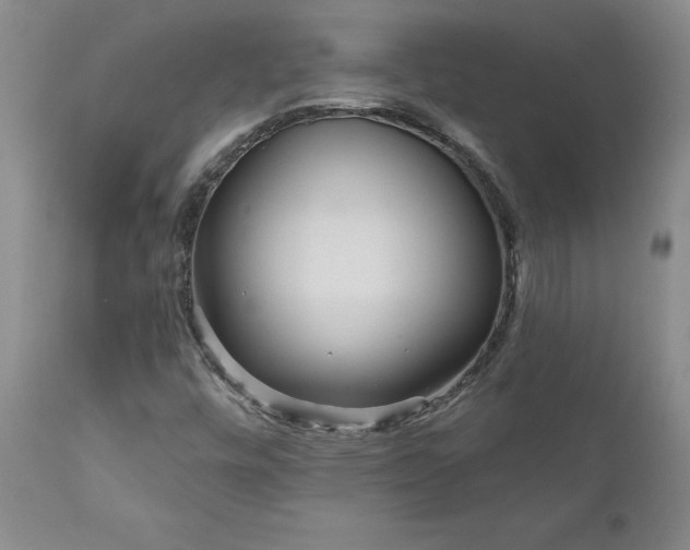 X0000111161448200906301349