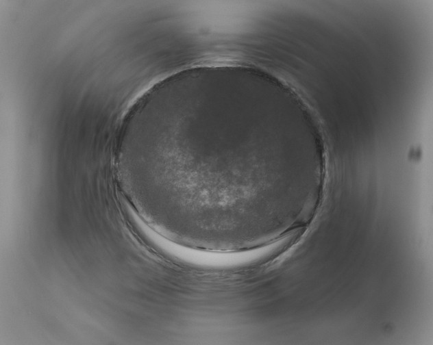 X0000111161449200906301349