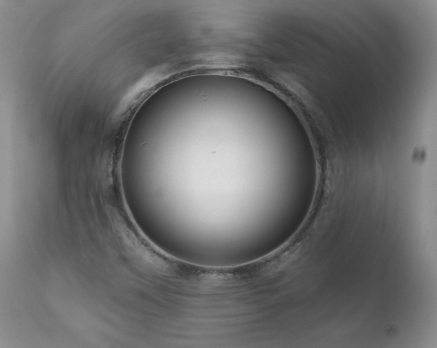 X0000111161451200906301349