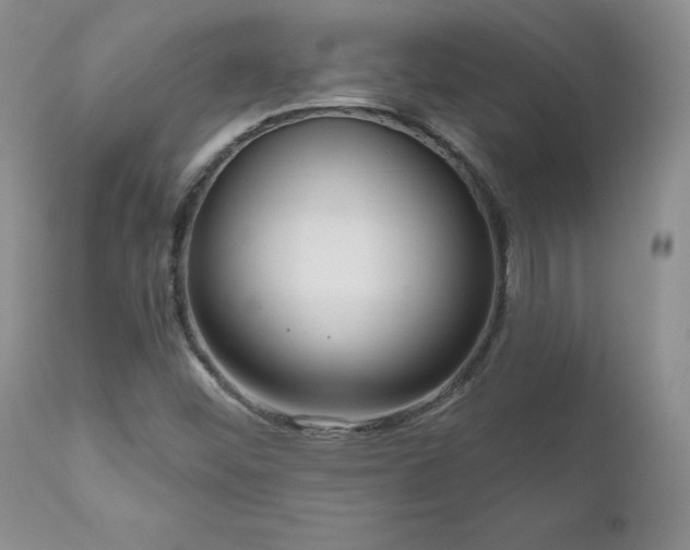 X0000111161452200906301349