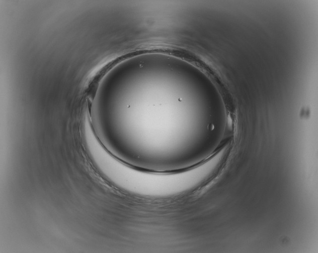 X0000111161453200906301349