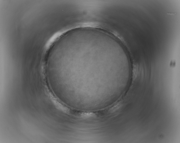 X0000111161454200906301349