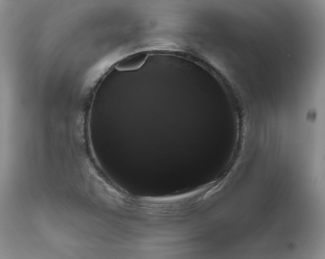 X0000111161455200906301349